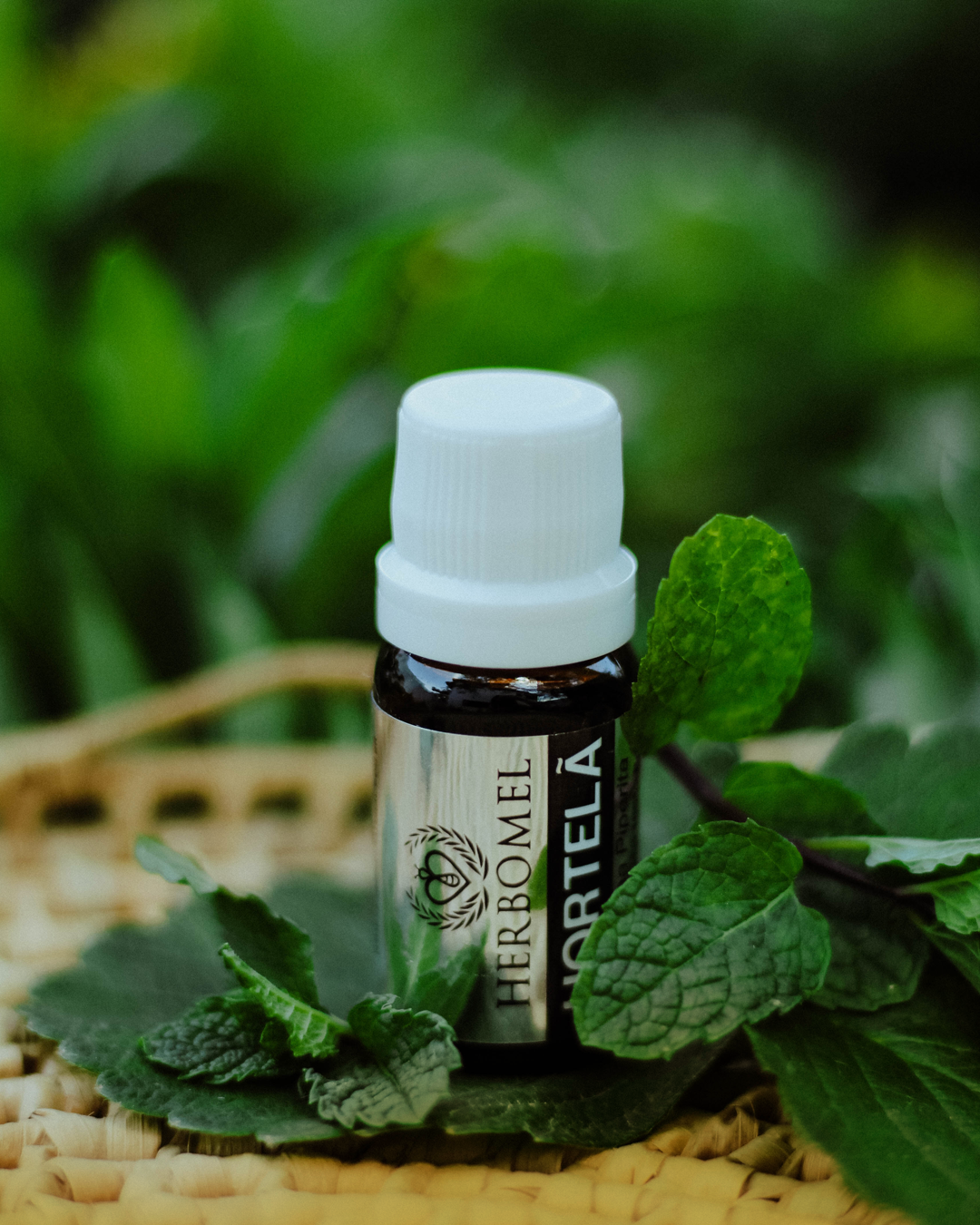 Para que serve e como usar o Óleo Essencial de Hortelã Pimenta (Mentha ...