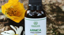 Óleo Vegetal de Arnica – “Descubra por que a Arnica Montana é o segredo dos atletas de alto desempenho e como pode ajudar você também”